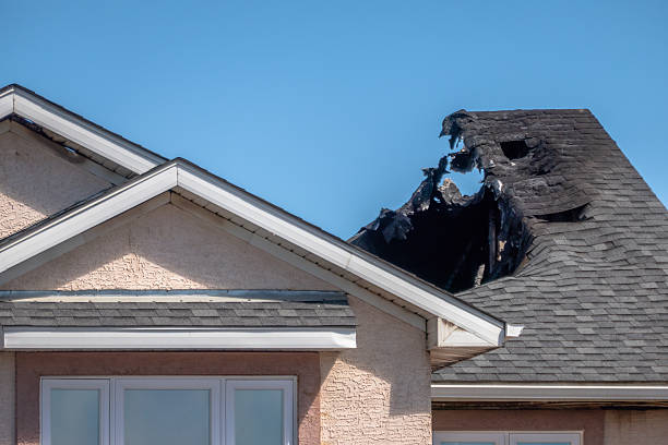 Licensed Odor Removal service in Terra Ceia, FL - Fire Damage Biloxi